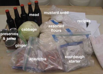 Leaving on a Jet Plane with Sourdough Starter, Krautchi, and a Head of Cabbage Image